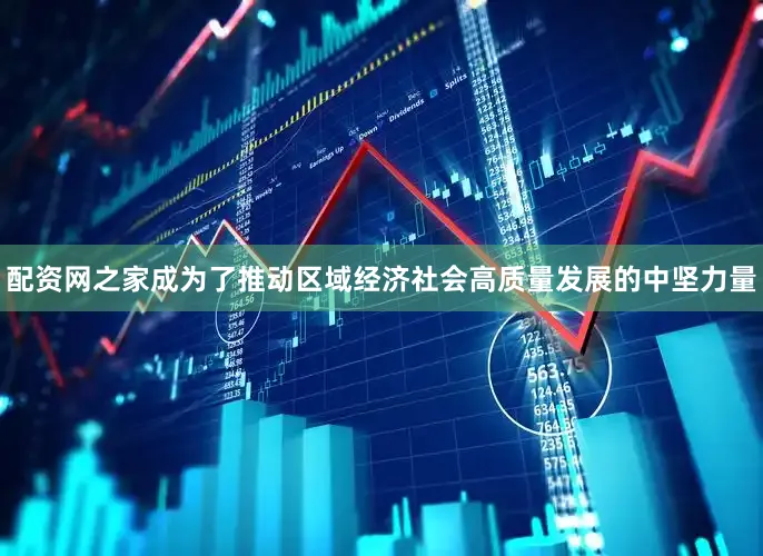 配资网之家成为了推动区域经济社会高质量发展的中坚力量