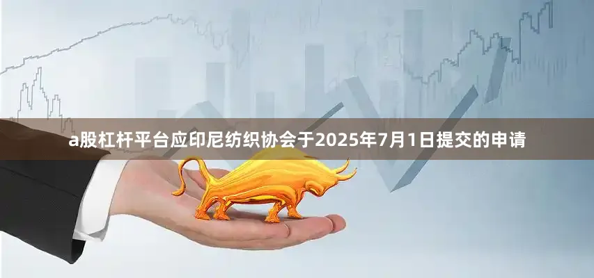 a股杠杆平台应印尼纺织协会于2025年7月1日提交的申请